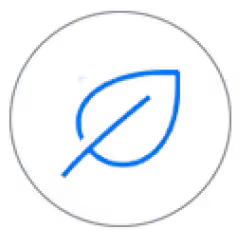 Icon Leaf
