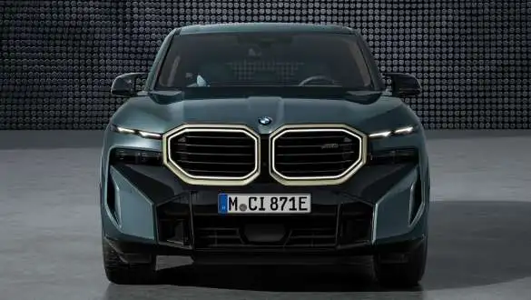 Bmw Xm 16