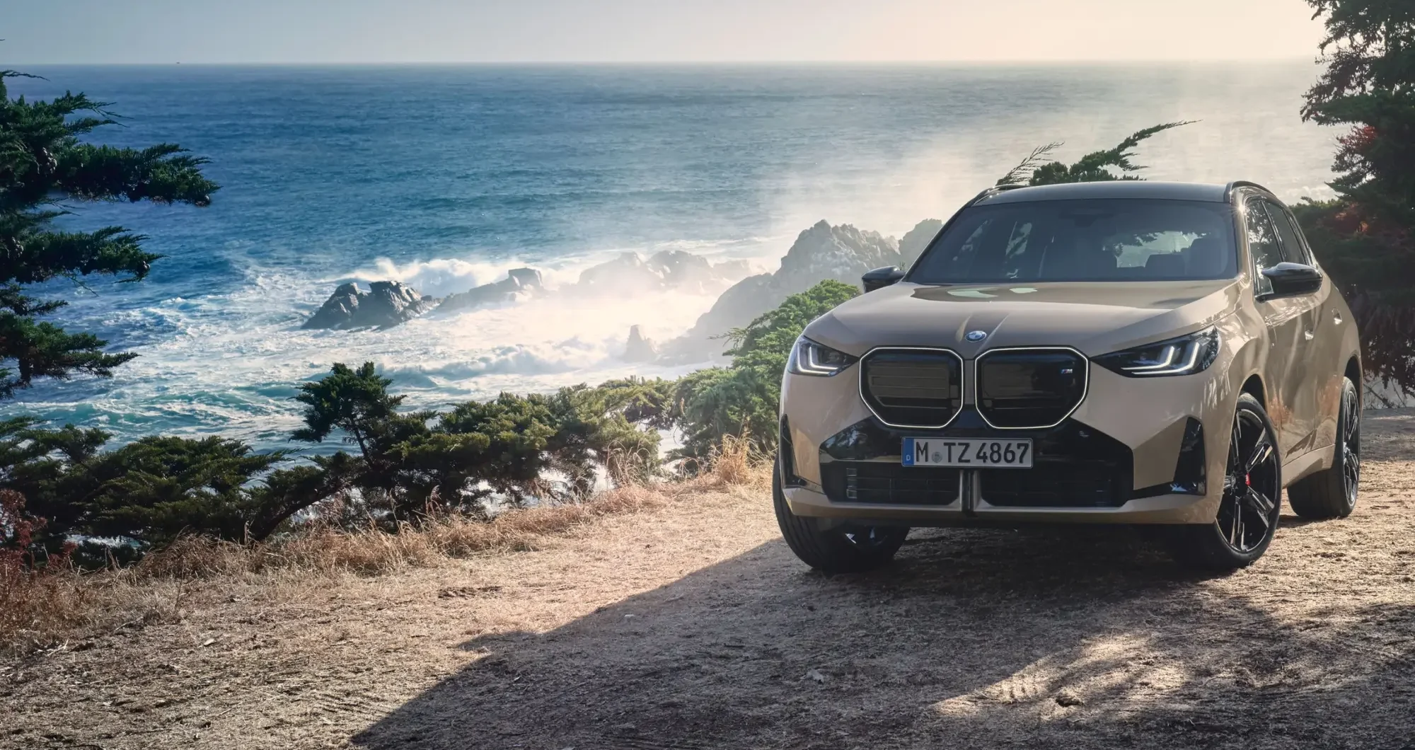 Bmw X3 M50 Xdrive 22